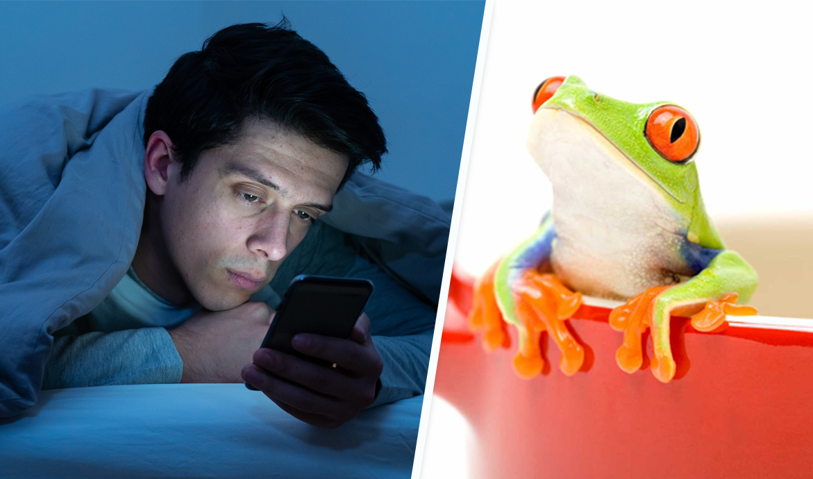 ¿Cómo saber si sufro de adicción al celular?